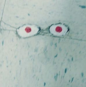 Meet your Posher, Kate